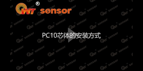 初檢完之后，你知道PC10芯體怎么安裝嗎？