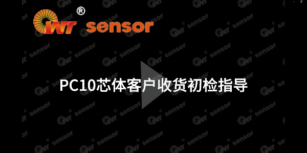 你知道如何進(jìn)行PC10芯體的初檢嗎？